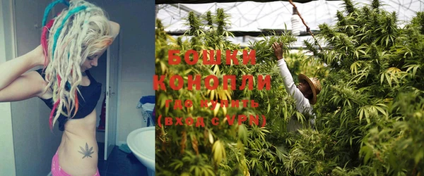 крисы Нея