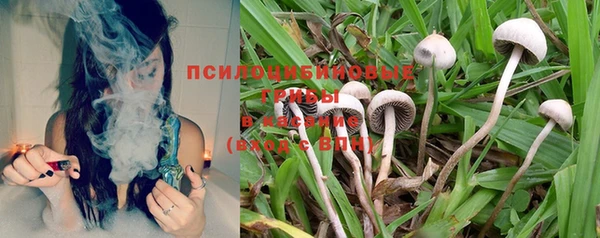 крисы Нея