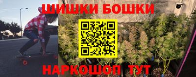 МДПВ Бийск