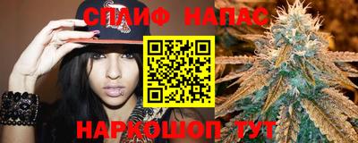 МДПВ Бийск
