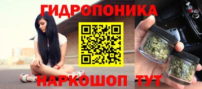 мяу мяу мука Беслан