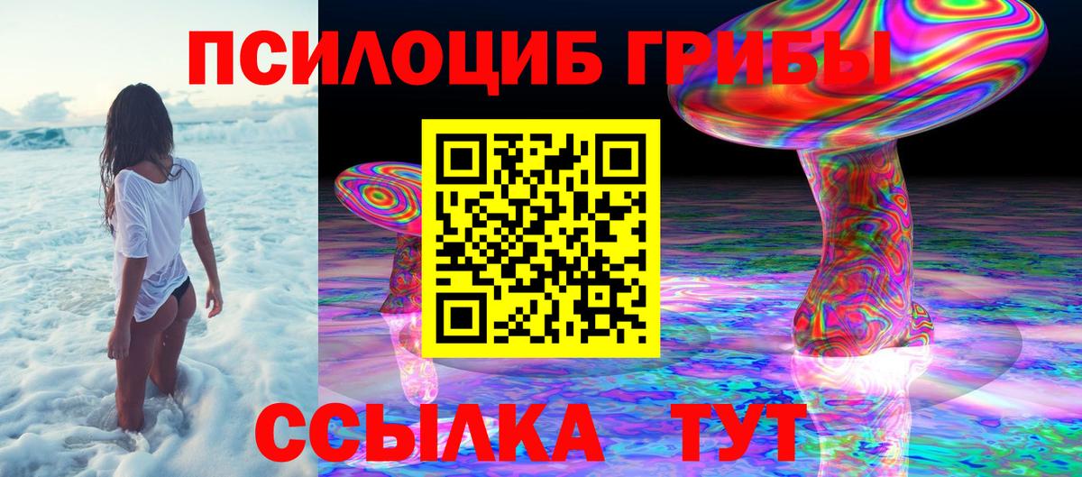 Галлюциногенные грибы Psilocybe Раменское