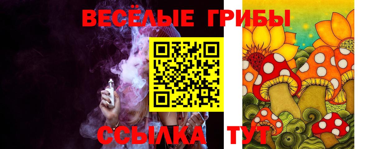 купить наркоту  Псилоцибиновые грибы GOLDEN TEACHER  Вход с VPN  Раменское 